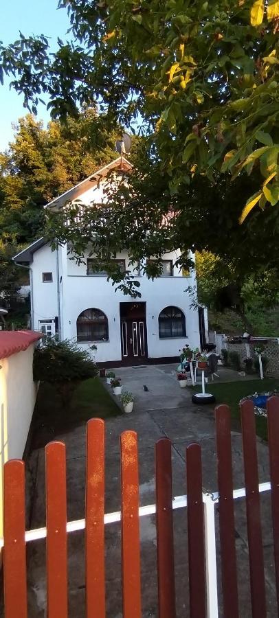 Apartmán Sobe Lara Donji Milanovac Exteriér fotografie