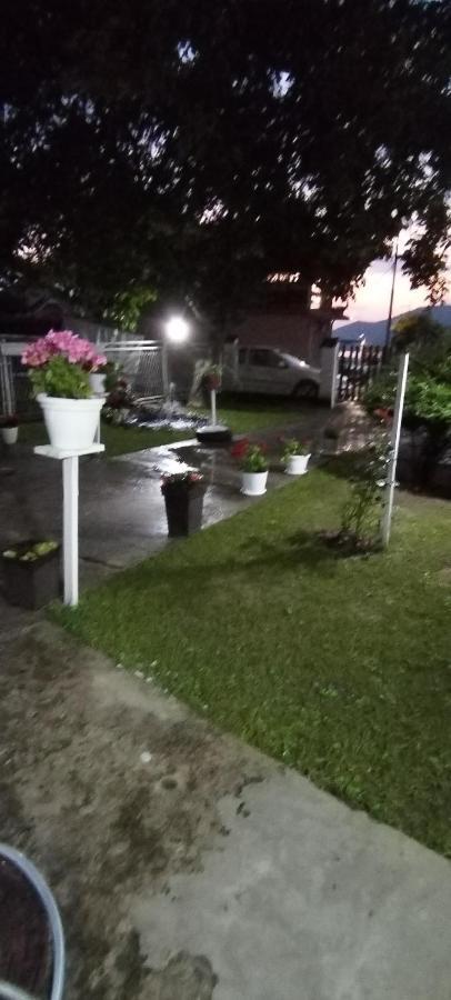 Apartmán Sobe Lara Donji Milanovac Exteriér fotografie