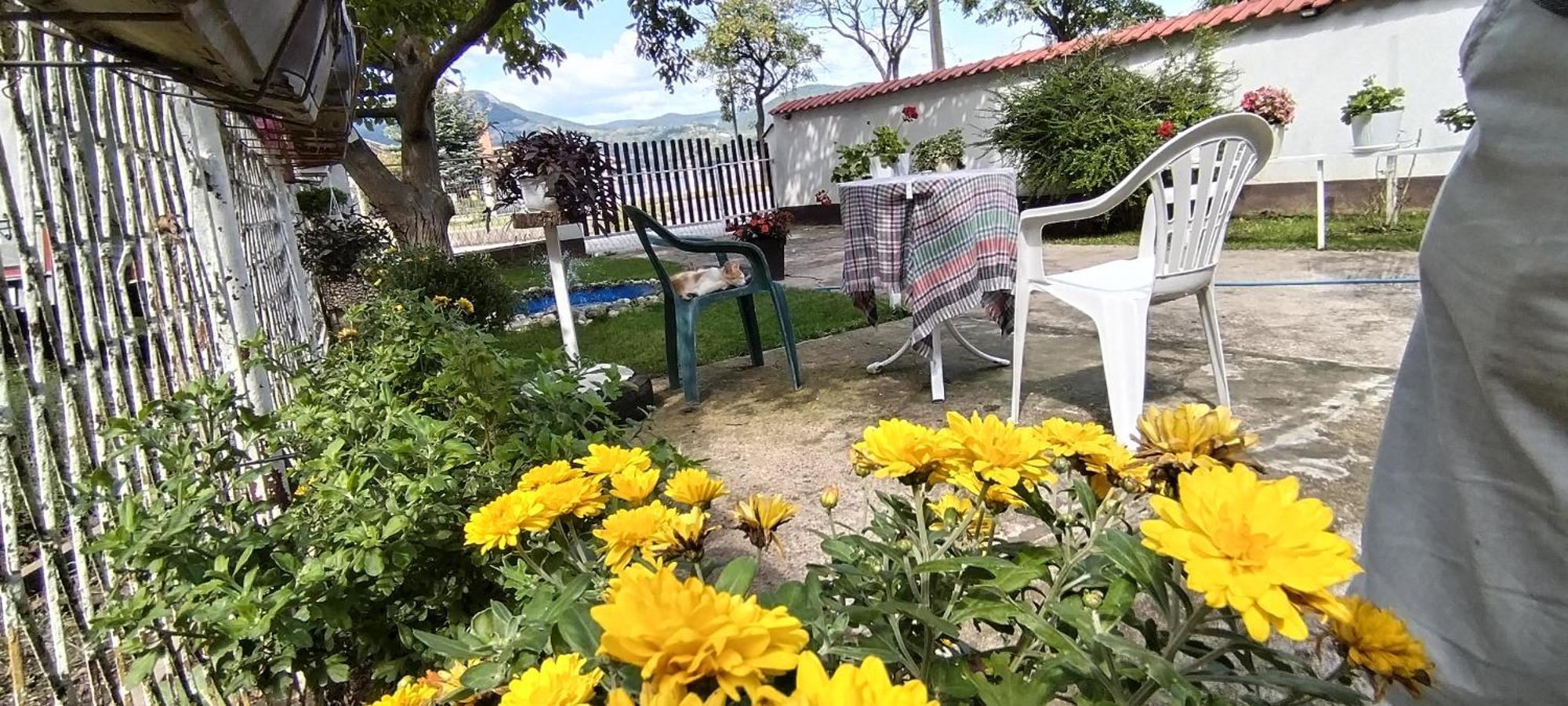 Apartmán Sobe Lara Donji Milanovac Exteriér fotografie